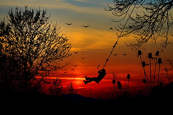 sunset, trees, swing, birds, landscape, sky