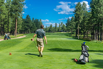 man, gray, top, golfer, golf, course, golfing, player, male, golf course, green - golf course