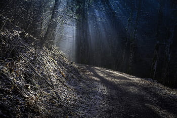 metnaschlucht, schwarzwald, mystery, metna, black, forest, germany, landscape, light, fantasy, idyllic