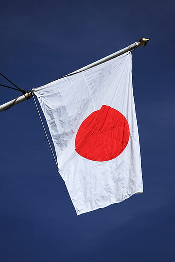 white, polo, day, Asia, Asian, Country, Flag, Japan, blue, country, flag, japanese