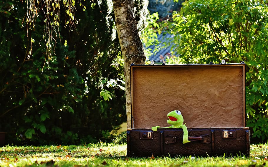 kermit, rozloučení, roztomilý, děti, legrační, sladký, zavazadla, antický, kůže, starý kufr, haraburdí