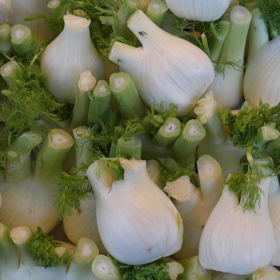 vegetables, fennel, food