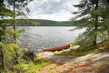 lake, island, summer, ontario, canada, algonquin park, canoe