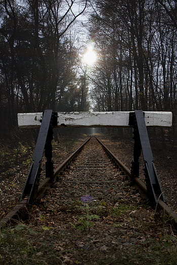 buffer stop, siding, glade, forest, trees, forest path, atmosphere, mood, light, sunbeam, bill