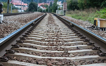 gray, metal train rail, daytime, low, angle, photography, train, railway, surrounded, trees, railroad