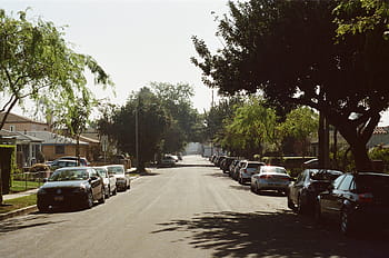 fotografi, mobil, parkir, beton, jalan, dekat, hijau, tinggi, pohon, santa monica, trotoar