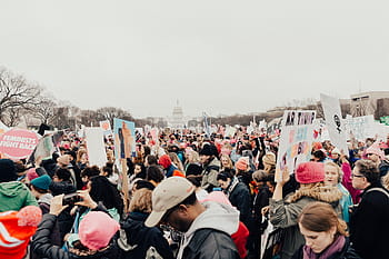setkání lidí, přední, bílý, struktura, lidé, muž, žena, protest, shromáždění, rovnost, trumf