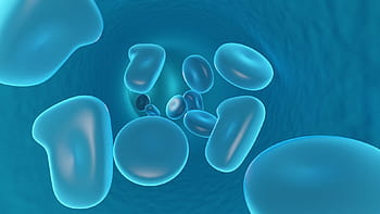 tepna, krvinky, modrý, buněk, digitální, koule, veřejná doména, Věda, zdravotnictví a lékařství, biologie, pozadí