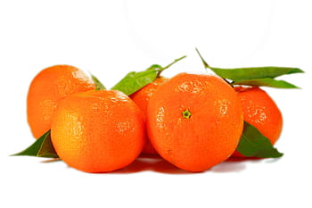 Pět, oranžový, ovoce, bílý, Pozadí, pomeranče, mandarinky, klementinky, listy, zdravý, vitamíny