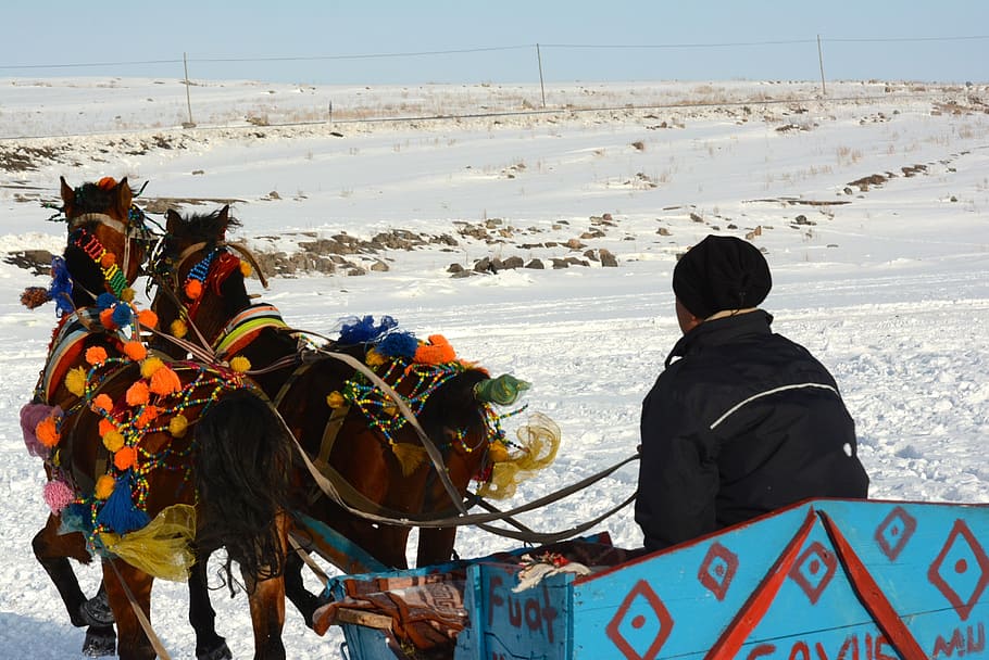 lago, ghiaccio, i cavalli sono, carrozza trainata da cavalli, Kars, viaggio, paesaggio, tavolo, immagini, profondità, natura