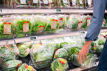 vychystávání, listový salát, obchod s potravinami, žena, ruce, zdravý, obchod, lidé, supermarket, jídlo, výběr