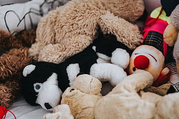 varios juguetes, varios, juguetes, juegos, muñeca, figura, niños, osito de peluche, lana, juguete, esponjoso