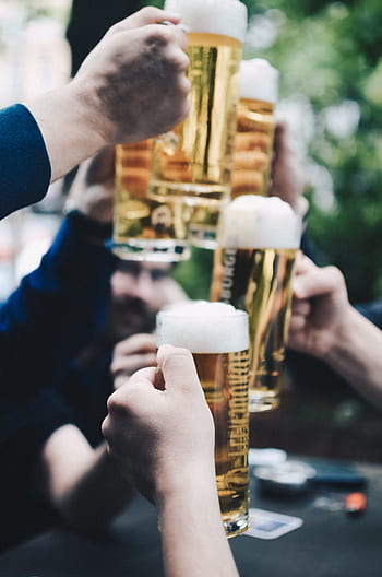 맥주, 감기, 음료수, 마실 것, 소유, 건배, 파티, 축하, 바