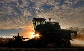 silueta, zemědělský traktor, pole, kombajn, sklizeň sóji, západ slunce, zemědělství, sóji, stroje, sklizeň, podzim