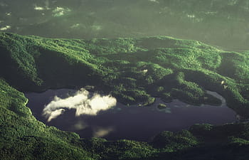 top-view, mountain, covered, trees, aerial, body, water, surrounded, green, horizon, highland