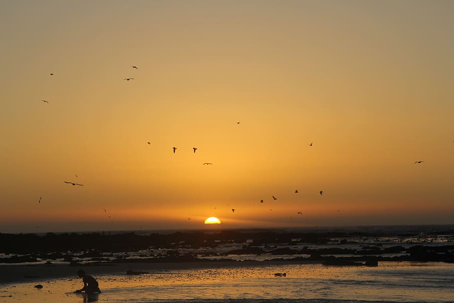sunset, summer, golden, sun, set, sea, beach, child, sand, yellow, sky