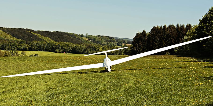 white, plane landing, green, grass, glider, landscape, aircraft, air sports, glide, air, glider pilot