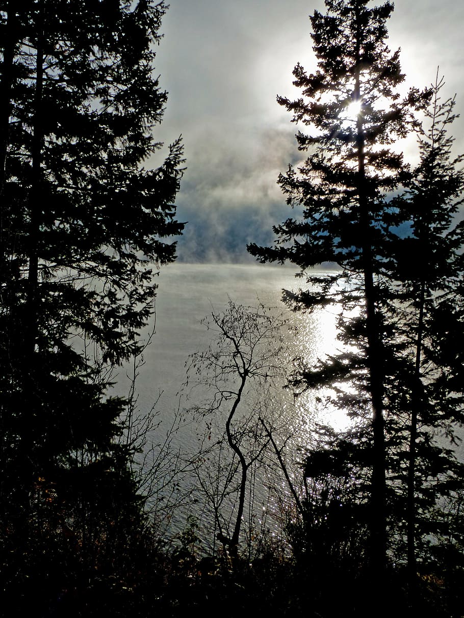 brzy ráno, svítání, mraky, canim jezero, Britská Kolumbie, Kanada, scenérie, počasí, Krásná, Příroda, nálada