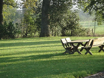 picnic table, park, daytime, bank, picnic, wooden bench, table, garden, furniture for parks, rest, sit