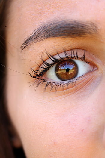 close-up photo, human, eye, eyelashes, eyebrows, face, woman, girl, brown, women, close-up