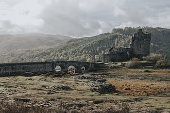 gray, castle, trees, nature, landscape, bridge, infrastructure, travel, adventure, rock, sky