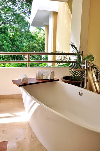 bílý, vana, vedle, lineární, listoval, rostlina, jacuzzi, hotel, lázeň, relaxace, zdraví