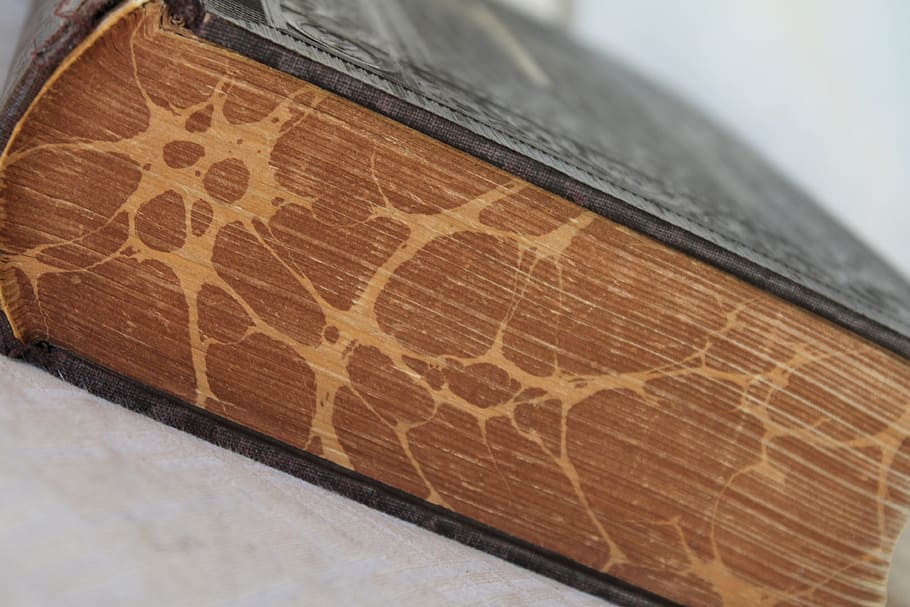rezervovat, bible, stránek, papír, starý, svatý, Bůh, starožitný, přední a zadní obaly, nikdo, detail
