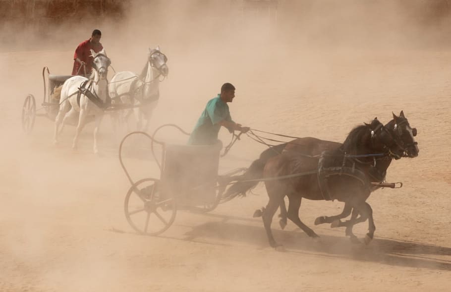 chariot, kůň, římský, závod, reenactment, Dějiny, Jordán, Arab, arabština, střední, východní
