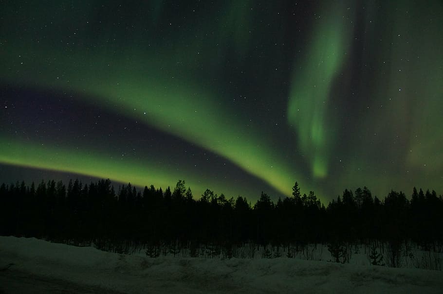 写真、 木、 オーロラ、 スウェーデン、 ラップランド、 星 - スペース、 夜、 天文学、 オーロラポラリス、 銀河、 自然