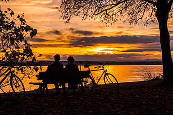 Silhouette, Paar, Sitzung, Bank, Karosserie, Wasser, golden, Stunde, Sonnenuntergang, Bodensee, abendstimmung