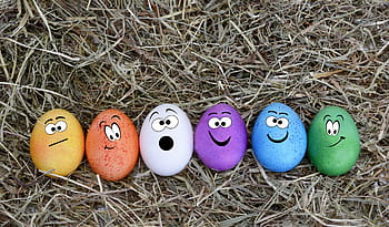 mehrfarbige Ostereier, Ostereier, Ostern, Ei, Dekoration, Osterdekoration, Frohe Ostern, bunt, bunte Eier, Farbe, Osterdekorationen