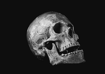 grayscale photo, human, skull, helplessness, bone, scull, human Skull, human Bone, halloween, death, human Skeleton