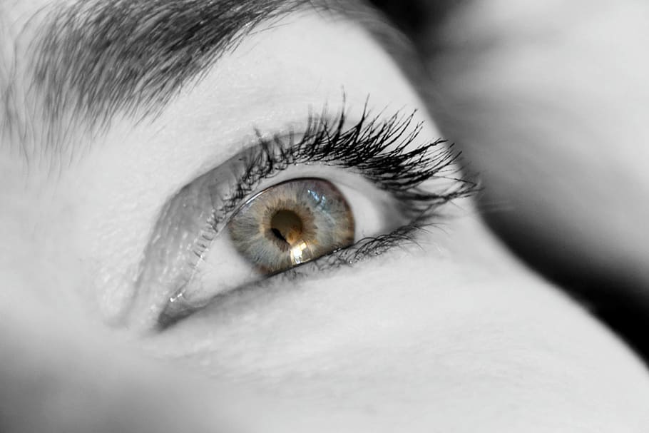human, eye grayscale photo, eyelashes, eye, view, close, iris, woman, female, pupil, blue