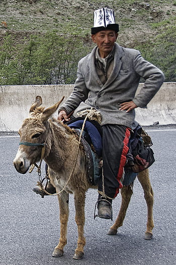 man, donkey, human, animal, ride, culture, costume, hat, kyrgyzstan, traditional