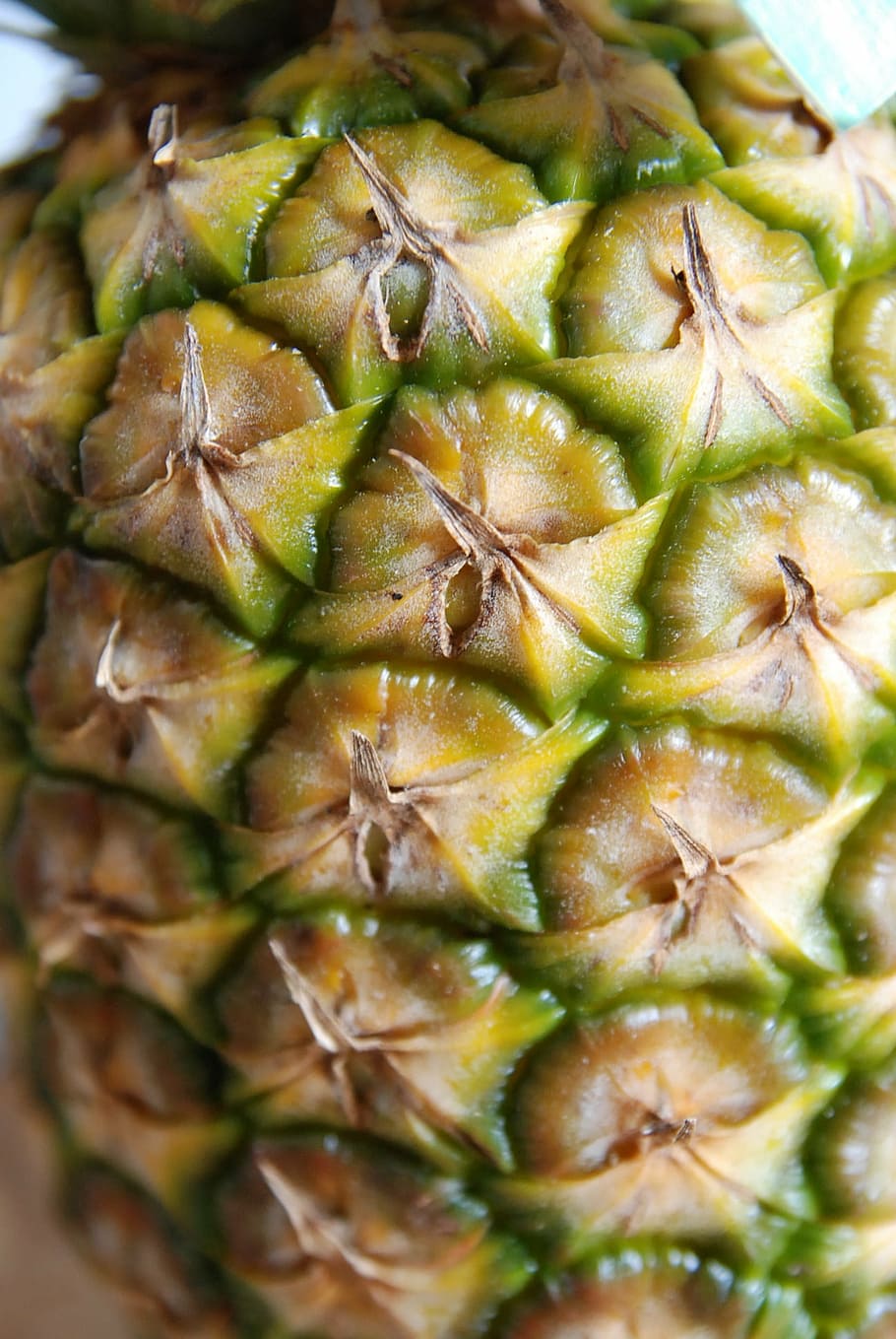 zblízka, ananas, makro, ovoce, jídlo, svěžest, zralý, detail, Zdravé stravování