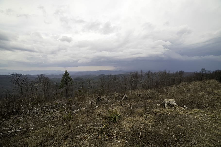 mountainside landscape, south, carolina, Mountainside, Landscape, Sassafras Mountain, South Carolina, photos, mountain, public domain, sassafras