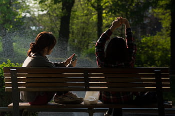 two, woman, sitting, bench, front, trees, focus, photography, women, near, parc