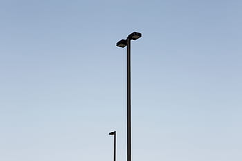 silhouette, metal post, black, light, post, daytime, lamp posts, blue, sky, animals in the wild, bird