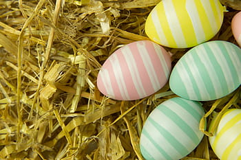 shot, Closeup, Easter eggs, various, easter, eggs, springtime, multi Colored, animal Egg, easter Egg, cultures