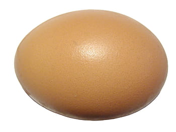 brown egg, egg, eggshell, protein, shell, ovoid, food, ingredient, isolated, cook, animal Egg