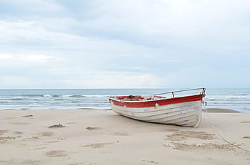 white, jon boat, seashore, boat, beach, sea, travel, summer, ocean, water, blue