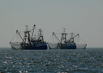 two, black, sailboat, ocean, boats, fischer, fishing boat, fishing nets, fishing, fishing vessel, port