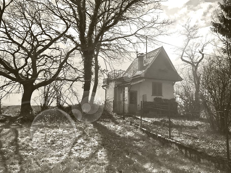 grayscale photo, gray, house, Witch'S House, Tübingen, Back Light, home, garden, black, white, sun