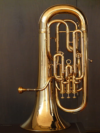 mosazný barevný tuba, euphonium, polnice, mosazný nástroj, nástroj, ventily čerpadla, lesk, zlato, hrát si, foukat, dmychadla