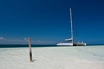 katamarán, cayo blanco ostrov, loď, karibský, cayo, blanco, ostrov, kuba, Příroda, pláž, pobřeží