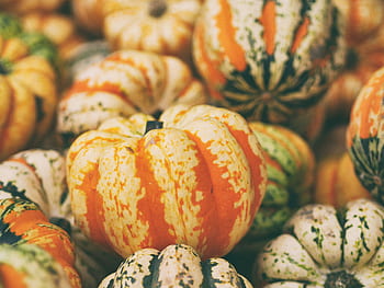 squash, zeleniny, oranžový, dýně, Halooween