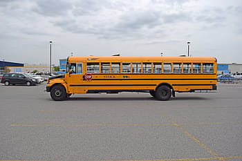 giallo, autobus, parcheggiata, area parcheggio, lato, lungo, scuola, mezzi di trasporto, trasporto, veicolo, fermare
