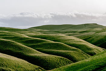 grüne Wiese, Natur, Grün, Landformen, Hügel, Himmel, Wolken, Weiß, Landschaft, ländliche Szene, draußen