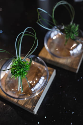 少し、 草の束、 リボン、 ガラスの瓶、 草、 束、 ガラス、 植物、 装飾、 小物、 人なし
