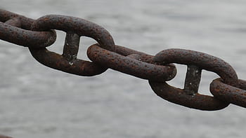 chain, chain link, links of the chain, iron, metal, connection, connected, metal chain, members, link, rust